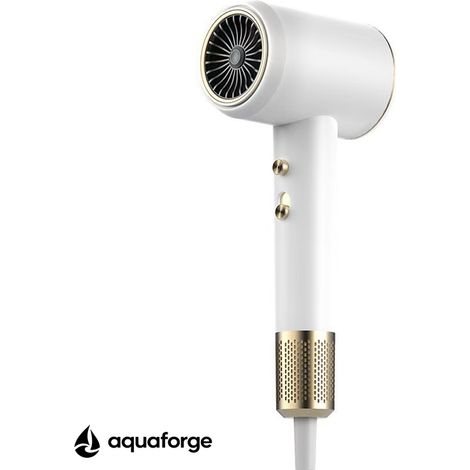 Sèche cheveux professionnel sans balais 110000 tr min 3 vitesses (1/5)