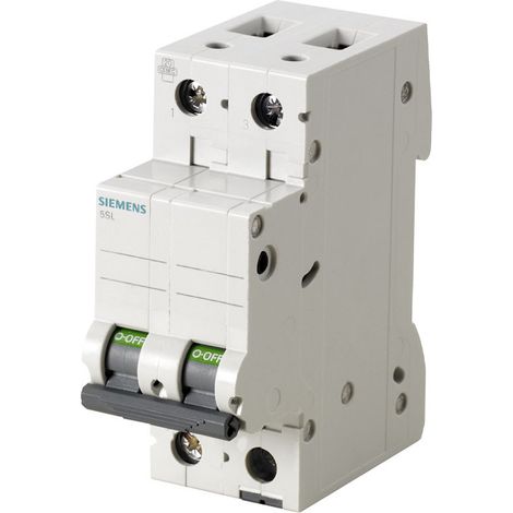 Siemens interruttore  magnetotermico 2p 20a 10ka curva c 5sy42207 (1/2)