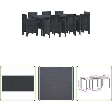Garten Tisch - Garten Essgruppe 9 pcs Anthrazit Polypropylen (1/5)