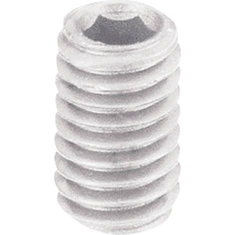 VIS SANS TÊTE TOOLCRAFT 830386 DIN 913 10 MM PLASTIQUE/POLYAMIDE M6 10 PC(S) (1/2)