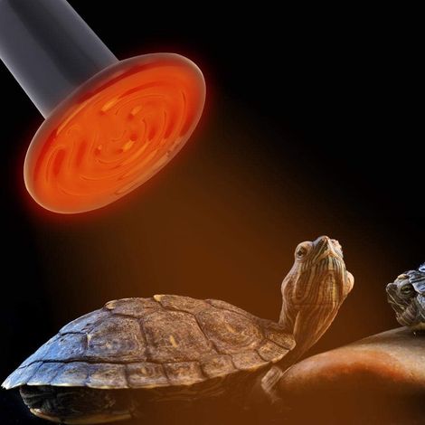 MINKUROW Lampada Di Calore In Ceramica Lampada Di Calore Per Rettili A Infrarossi Per Terrario Acquario Serbatoio Di Pesci Anfibio Serpente Pollo Allevamento Di Uccelli Animali Domestici 220v-230v 200 (1/5)