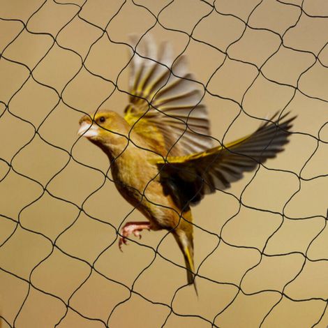 Filet de protection contre les oiseaux - 7,5 à 30 m - Filet de protection pour étang - Filet de protection contre les insectes - Pour la chasse, les aveugles - 30 m (1/5)
