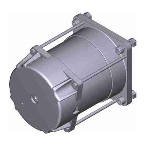 Gruppo Motore Elettrico FERNI F1024 24v Ricambio CAME 119RID095