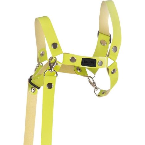 Cavezza per cavallo da compagnia con redini, in ecopelle, verde chiaro