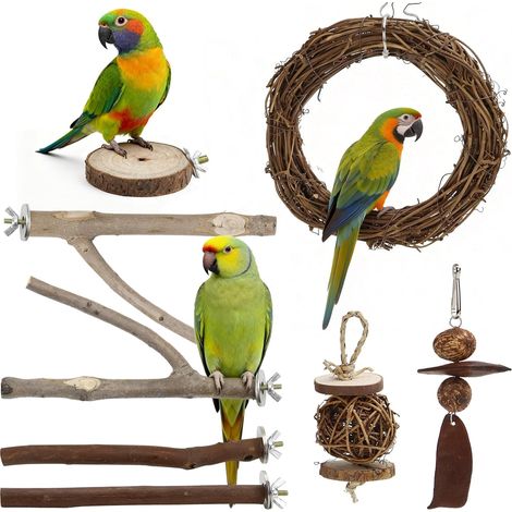 Perchoir en Bois Naturel 8 Pièces Perchoir Perroquet en Bois (1/5)
