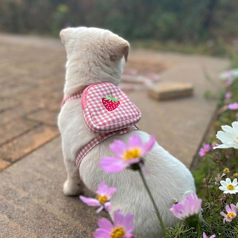 Harnais classique anti-traction pour chiens moyens et grands, avec poches et patchs - Rose - Taille M (1/4)
