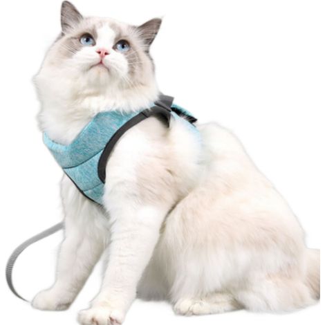 Harnais pour Chat Réglable avec Laisse - EINNENFFER - Tissu Mesh Léger, Vert Foncé, Taille S (23x28 cm), Confort et Sécurité pour Promenades (1/5)