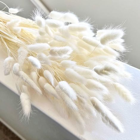 120 getrocknete weiße Kaninchenschwänze, 43 cm, aus natürlichem Pampasgras für Zuhause, Hochzeiten und DIY-Projekte (1/5)