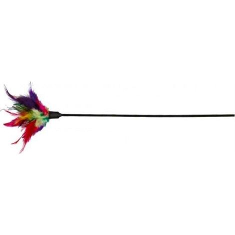 Canna da pesca giocattolo per gatti su un bastoncino da 50 cm