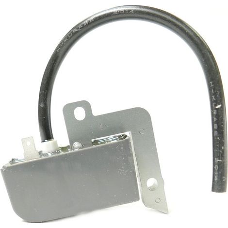 Echo – Bobine d'allumage pour débroussailleuse – Compatible SRM 2010, 2450, 2455S – Pièce d'origine constructeur – Pour coupe précise et efficace