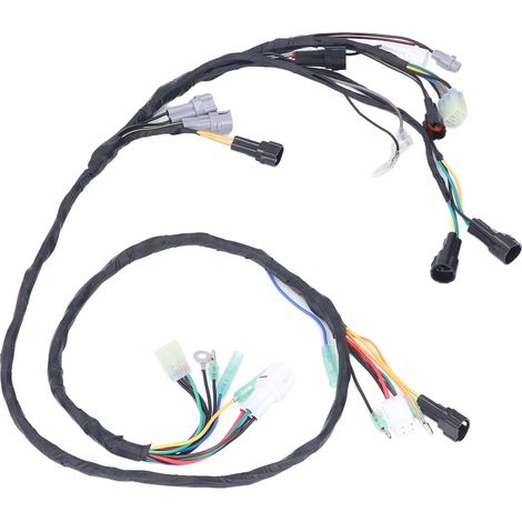 Faisceau de câblage complet pour moto, connecteurs carrés de remplacement pour Banshee 2002-2006 (1/5)