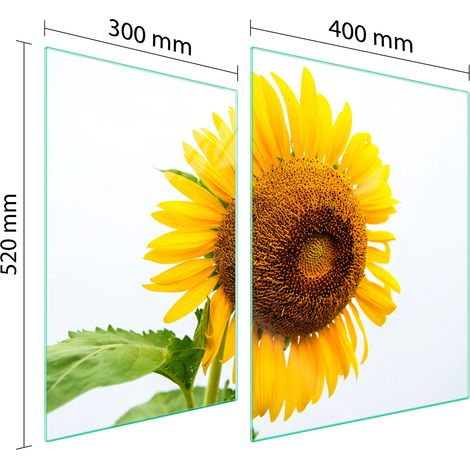 GLASSCHUTZPLATTE FÜR HERD 70x52 BLUME (1/5)