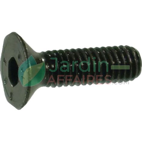 Vite Uni 5933 M 10 x 20 Delmorino 40100217