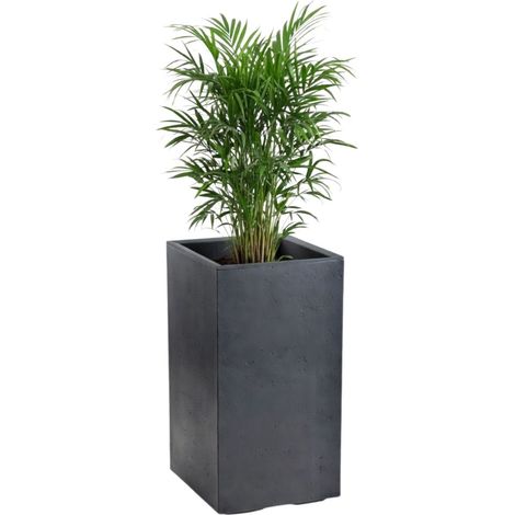 Vaso da fiori Betonique su ruote ECO antracite 30x30xh60 cm (1/5)