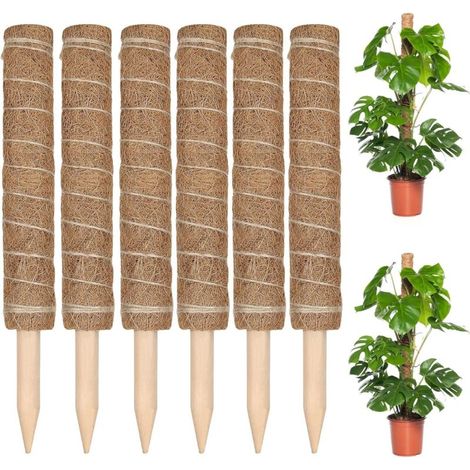 Set of 6 Climbing Plant Supports, Coconut Fiber Plant Supports 30CM, Coconut Fiber Plant Support Sticks for Climbing Plants with Extensions (1/5)