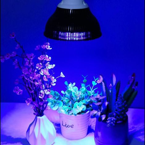 Lampe LED aquarium E27 à lumière bleue (PAR38) – Éclairage professionnel pour coraux, plantes aquatiques et croissance hydroponique – Compatible avec filtres et couvercles d’aquarium