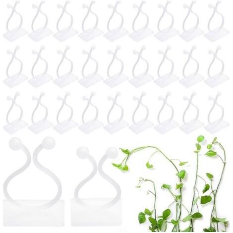 (Couleur:120 blanc)120 Pièces Clip Plante Grimpante Mur, 2 Tailles Clips Plantes Auto-adhésifs Plantes Grimpantes Clips de Fixation Vigne pour Plantes (1/5)