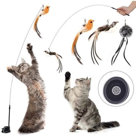 Jouet interactif pour chat - Marque - Lot de 5 jouets en plumes de chat avec cloche et ventouse (1/4)