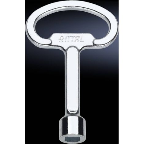 Rittal SZ 2548.000 Chiave per armadio elettrico 8 mm quadrato Acciaio 1 pz. (1/2)