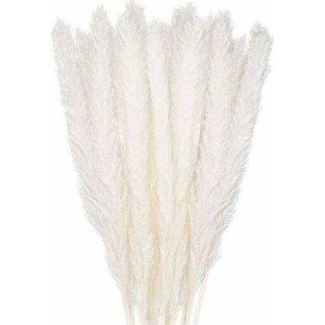 30 Stück Pampasgras, 58 cm natürlicher, getrockneter Pampasblumenstrauß für Vasen, weiße Boho-Dekoration für Schlafzimmer, Wohnzimmer, Hochzeit, Fotoshooting, Tischdekoration