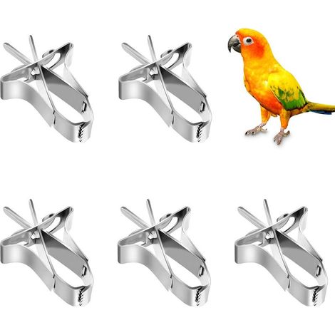 Porte Nourriture pour Oiseaux 5 Pcs Pince de Nourriture pour Petits Animaux et Cage Mangeoire à Fruits pour Cage à Oiseaux (1/5)