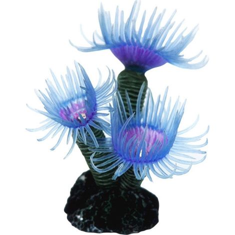 Trade Shop - GERICHTSHOF DER ARTIFIKEL FUNKTION WASSERSTELLUNG BLU VIOLA VASCA FISCHEREI - (1/5)