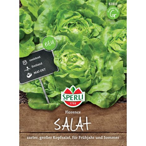 Sperli Kopfsalat Florence - Gemüsesamen (1/3)