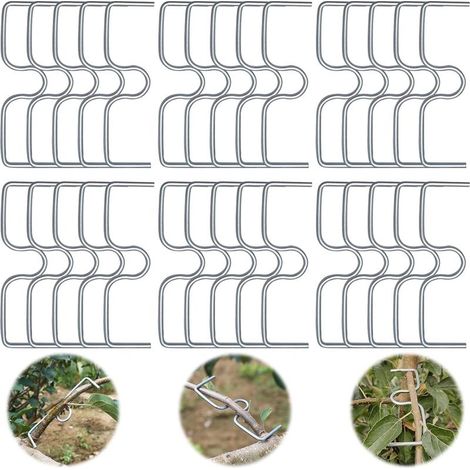 Lot de 30 écarteurs de branches d'arbre fruitier, support pour branches de fruits, pinces à branches en métal pour branches de jardin, pour écarter et étirer les branches d'arbres frui (1/5)