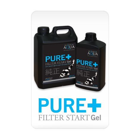 Evolution Aqua Pure+ Filterstart-Gel - Bakterien im Gel