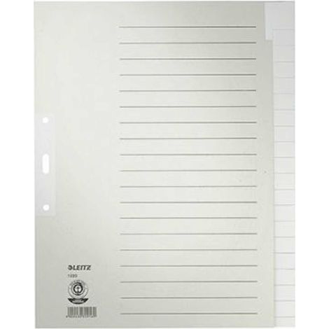 Ordnerregister DIN A4 Überbreite blanko Tauenpapier recycelt grau 20 Registerblätter (1/5)
