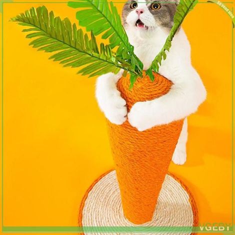 VGEBY Griffoir Chat Sisal Carotte Confortable Résistant Petit Grand (1/5)