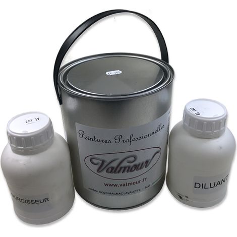 Vernis Protecteur OMNIVERNIS VALMOUR, 1 kg Incolore Satiné