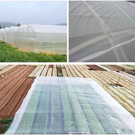 Filet anti-oiseaux et anti-insectes,Filet de Jardin,10 m x 2.5m Filet Anti Insecte, Filet Anti Insectes Potager, Maille Fine Anti-Insecte en Maille pour la Protection des Plantes, Fleurs, Lég TRIMEC (1/4)