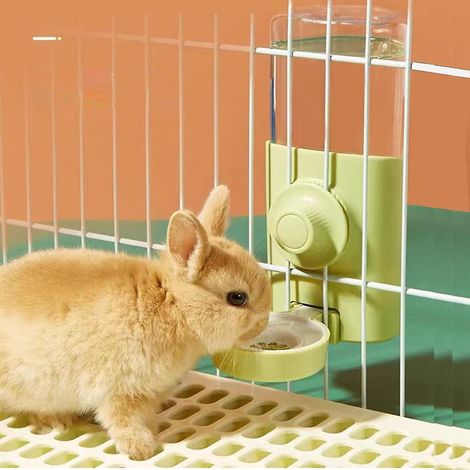 Automatische 600-ml-Hänge-Trinkflasche mit Schwerkraftsystem für Kaninchen, Chinchillas, Meerschweinchen und Frettchen – Grün