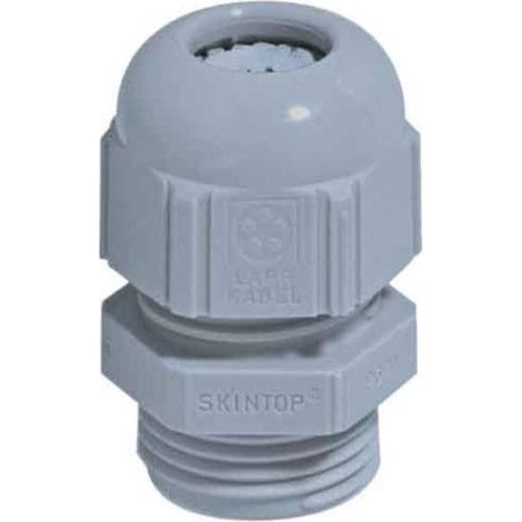 LAPP 53015070 Pressacavo filettato PG36 Poliammide Grigio-Argento (RAL 7001) 1 pz. (1/4)