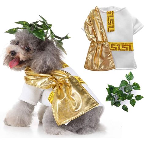 1 déguisement pour chien, robe Halloween + couronne de lierre, taille S à XL, polyester, pour événements et photos (1/5)