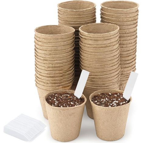 50 Pièces 8 CM Pot de Culture Biodegradable pour Semis, Petit Pot pour plantation, Godets de Rempotage Degradable, avec 50 5x1 cm Etiquette Plante - pour Jardin, Potager, Serre (1/5)