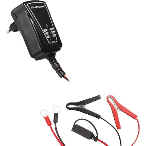 Caricabatterie e Mantenitore Intelligente 6V/12V 1A - Funzione Rigenerazione e Desolfatazione - Per Auto, Moto e Veicoli d'Epoca