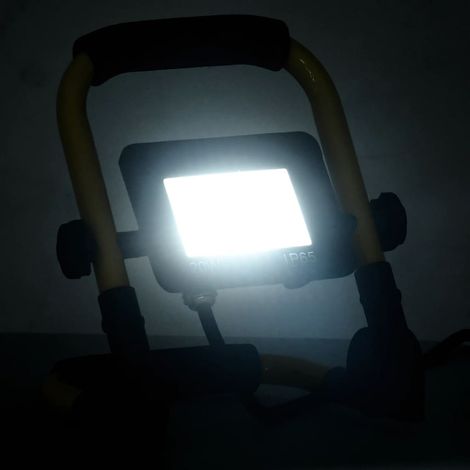 Projecteur à LED avec poignée 20 W Blanc froid CFW460531 (1/5)