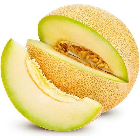Semi di melone "Galia" piante per orto e giardino coltivazione domestica e professionale
