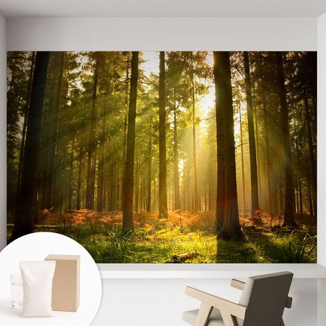 Papier peint intissé mural avec colle pour salon et chambre Décoration murale rapide - Colle incluse gratuite Matin dans la forêt 152x104 cm (1/5)