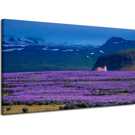 Lienzo impreso Naturaleza Campo de lavanda 120x70 cm Flores moradas Puesta de sol