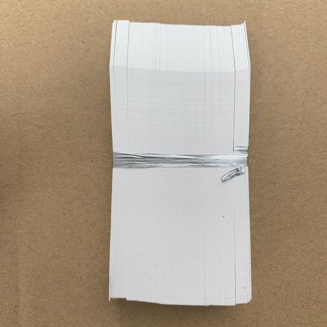 100 Pièces Étiquettes- Blanc pour Plantes de Jardin en Plastique Etiquette Semis de 2x10cm (1/5)
