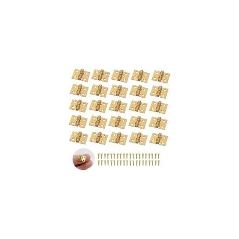 50 mini charnières, petites charnières, mini charnières en laiton, charnières miniatures et 200 vis (1/5)