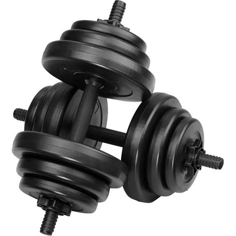 2 haltères Musculation 10 kg Chaque . 6 disques, pour une Musculation Efficace (1/5)