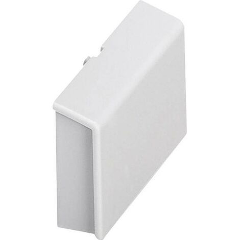 Obturateur de boîtier pour rail Phoenix Contact BC 53,6 BS U11 KMGY 2896225 Polycarbonate gris clair (1/5)