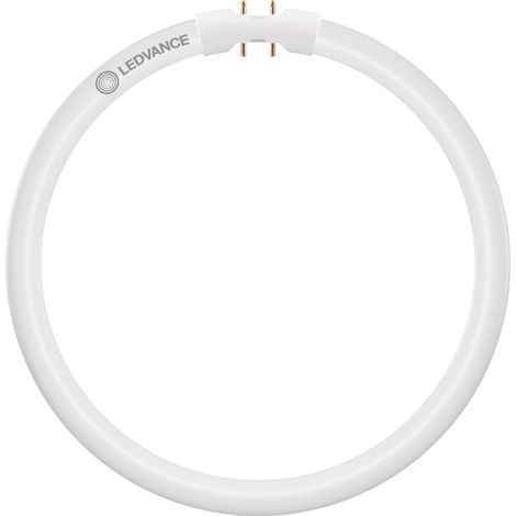 LEDVANCE LED T5 FC 22 EXTERNAL P 11.6W 840 2GX13 Kaltweiß, Ringlampe mit Ø 225 mm, dimmbar, kompatibel mit LED-Treiber DR DALI-P-26/220-240/700