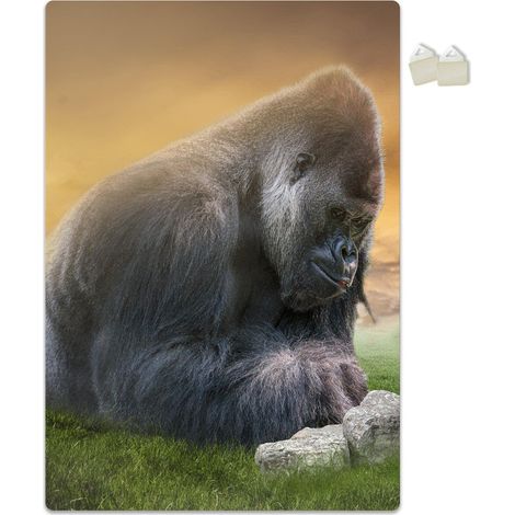 GORILLAS - POSTER en PVC de 3 mm - Dimension : 70x100 cm
