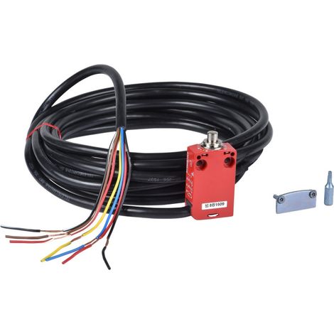IDP 2F2O RB 5M CABLE - XCSM4102L5