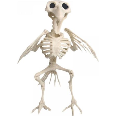 1 Décoration os de squelette en résine et ABS, modèle pédagogique Halloween, accessoire fête effrayante . (1/5)
